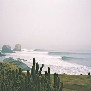 Meet your Posher, Nikki